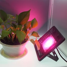 220 В 110 В светать 50 Вт интегрированный весь спектр интегрированный источник парникового роста заполняющий свет прожектор COB Светодиодный свет растений