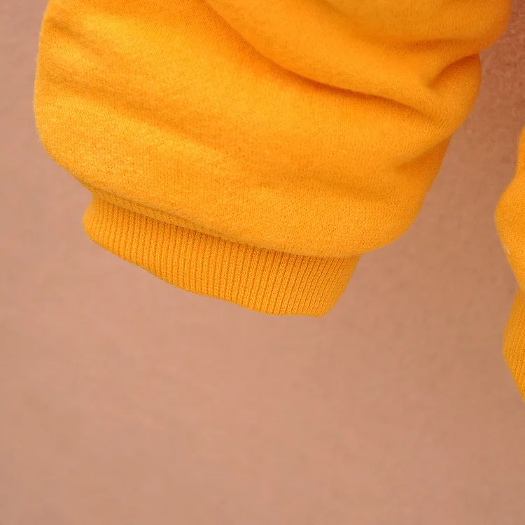 Детские толстовки с капюшоном для мальчиков и девочек; зимний Бархатный спортивный костюм для малышей; Новинка года; куртка; свитер; пальто и брюки; комплекты плотной детской одежды