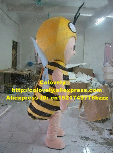 2686.2