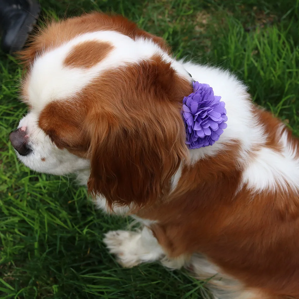 50X выбрать шаблон красивый ошейник для собак и кошек съемные подвески в форме цветов для свадьбы/праздника домашних животных для ухаживания за собакой аксессуары