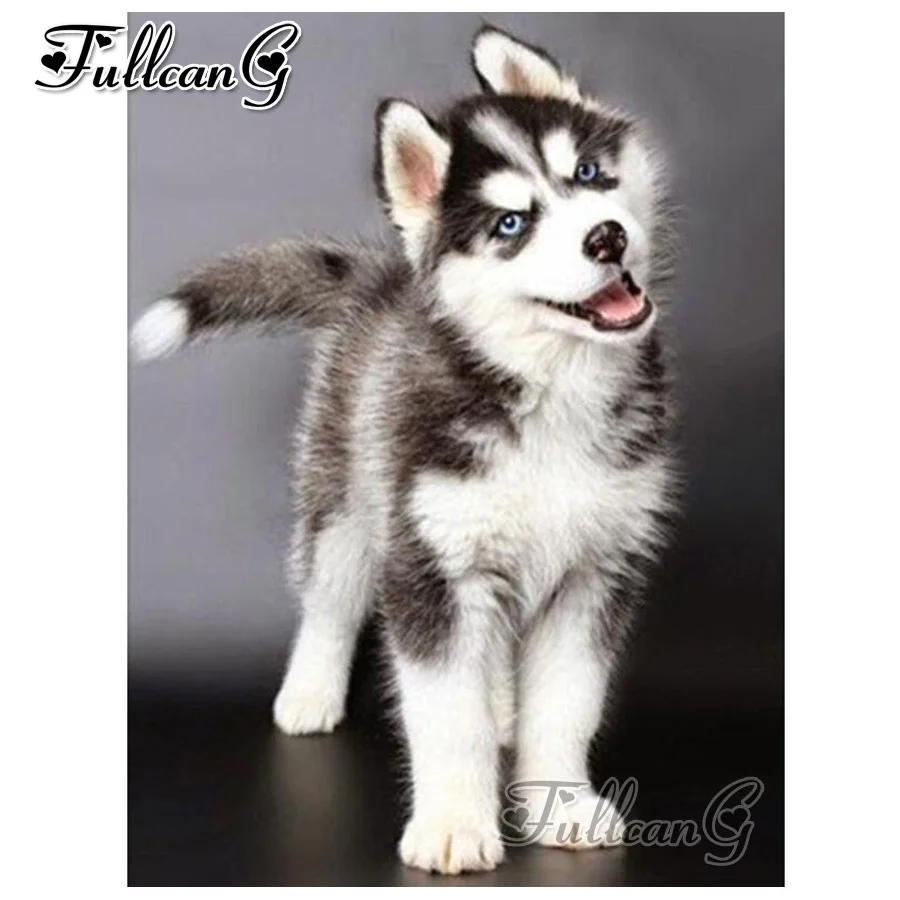 

FULLCANG diy diamond embroidery husky paintings animal 5d mosaic cross stitch resin crafts kit full square/round drill FC570