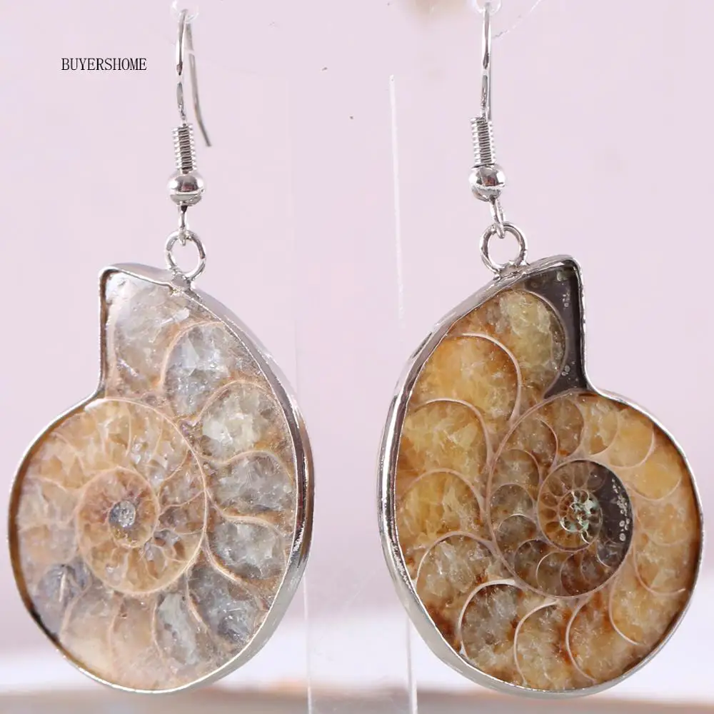 

Natural Stone Ammonite Fossils Seashell Snail Silver Handmade Jewelry For Women Ocean Reliquiae Conch Animal Earrings 1Pair U047