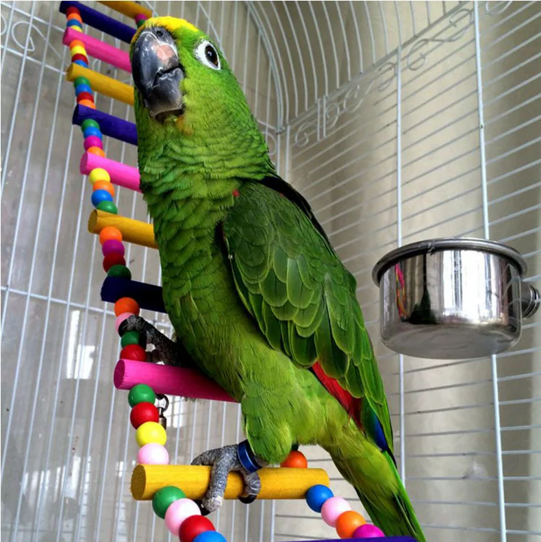 

Birds Pets Parrots Ladders Climbing Toy Hanging Colorful Balls With Natural Wood