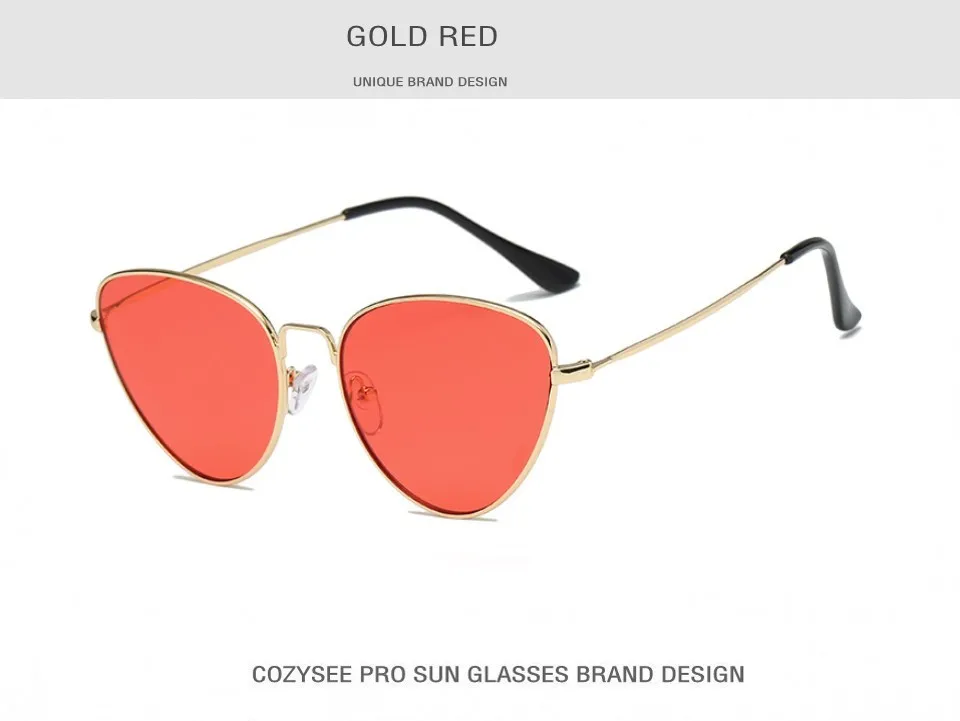 tinted sunglasses (1)