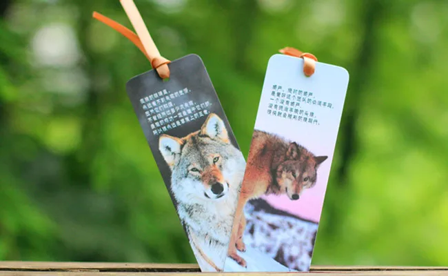 Wolf Totem (5)
