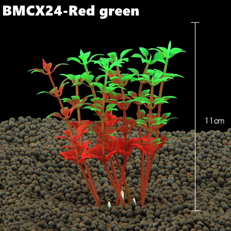 BMCX24 (2)