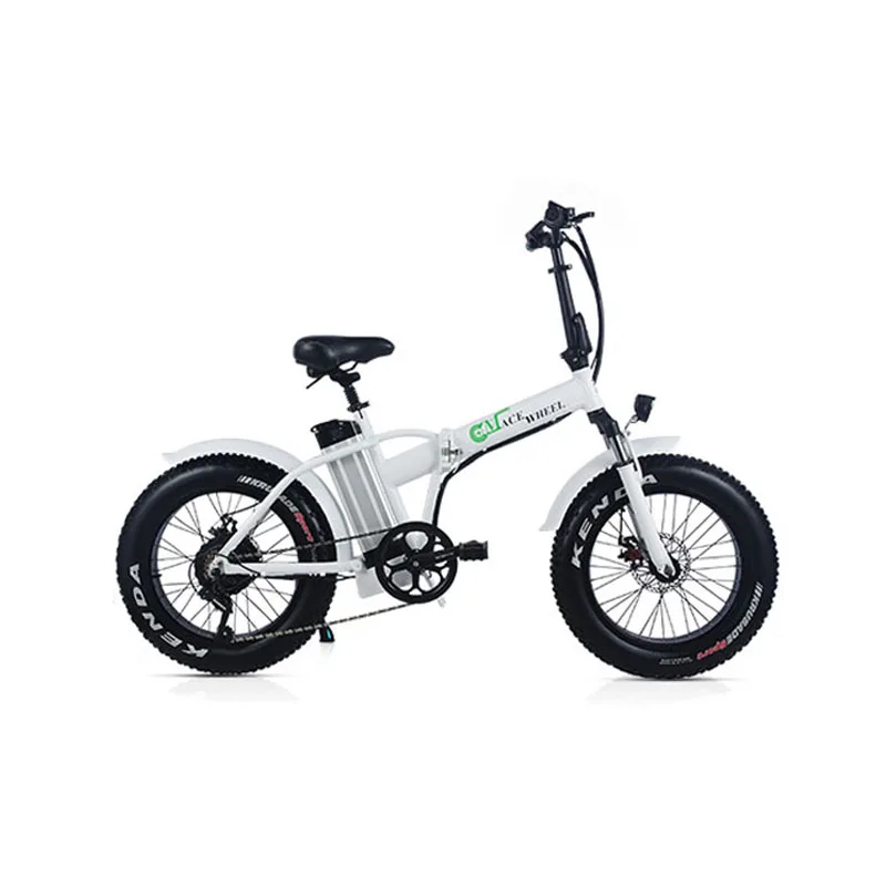 Excellent GW20 vélo Électrique 48 V 15AH 1