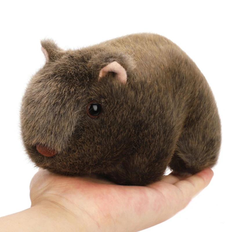 Monde Sauvage Cochon D Inde En Peluche Cavia Porcellus Poupee Mignon En Peluche Jouets Simulatifs Pour Bebe Enfants Anniversaires Cadeaux 17 10 Cm 7 4 Aliexpress
