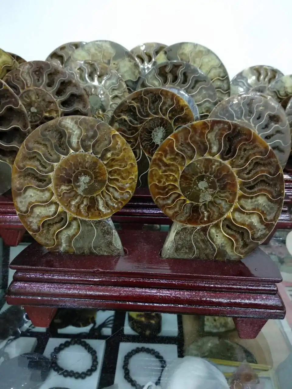 2Pcs Good Quality Ammonite Fossil Specimen Shell Mineral Healing