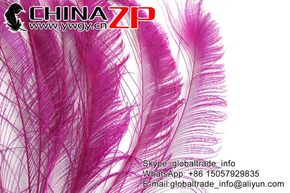 Hot Pink Peacock Sward Cut Feathers (11)