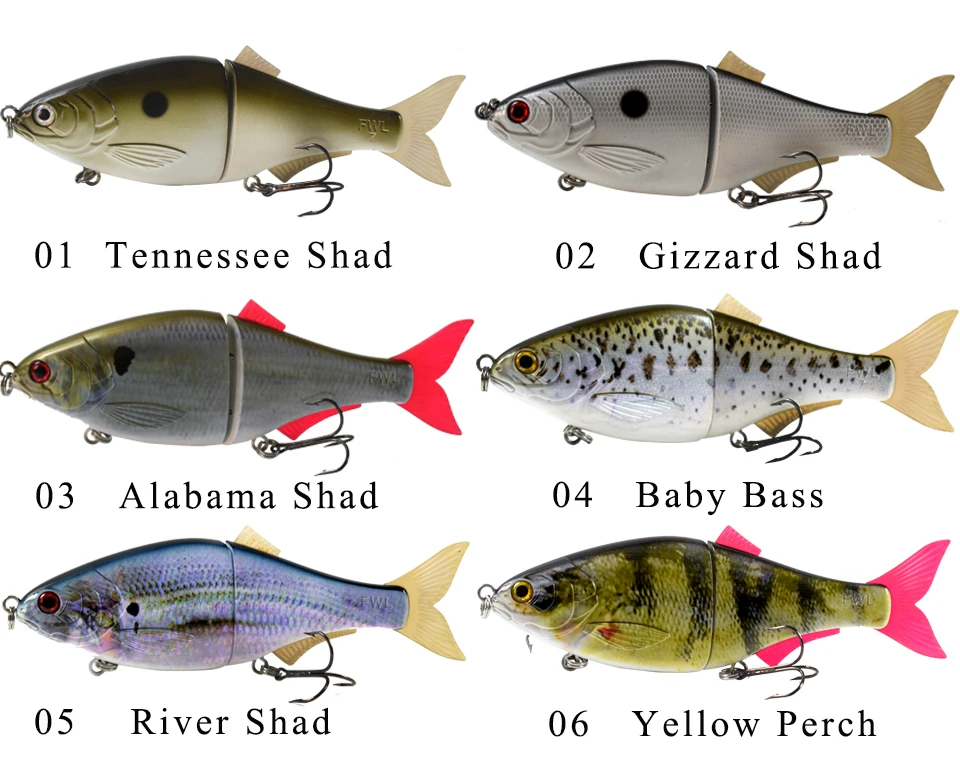 catalogue