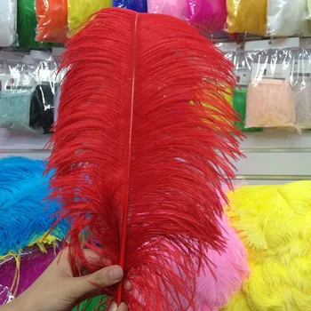 

Best-selling products 100 PCS pretty 55-60 cm/22-24 inches Red ostrich feathers plume artware performing decorations