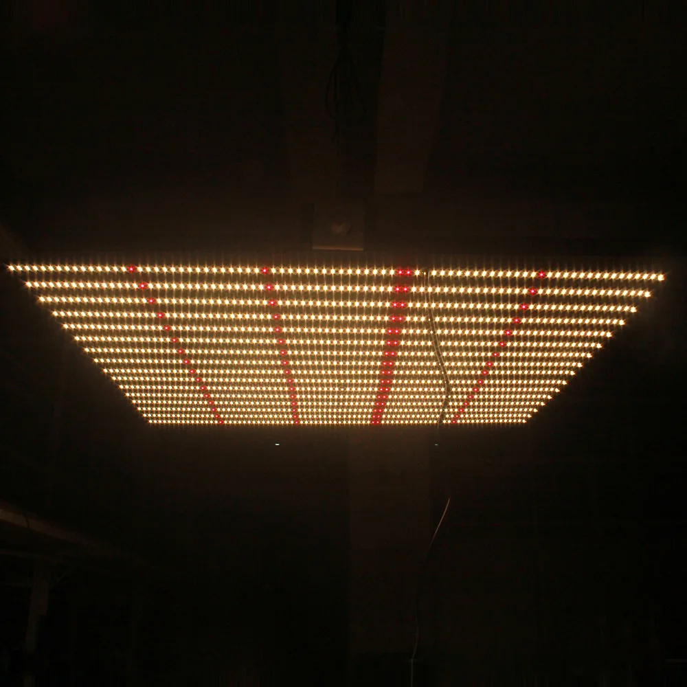 Newest Samsung quantum board  lm301b 660nm red 1280w full spectrum led grow light bar greenhouse (4)