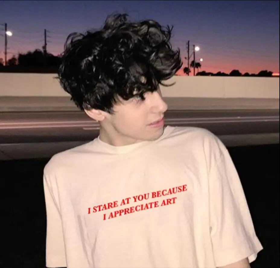 

"I STARE AT YOU BECAUSE I APPRECIATE ART" TEE Women funny graphic tshirt summer style outfits t shirt tops