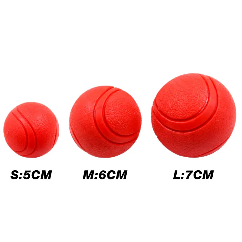 1 dog toy 