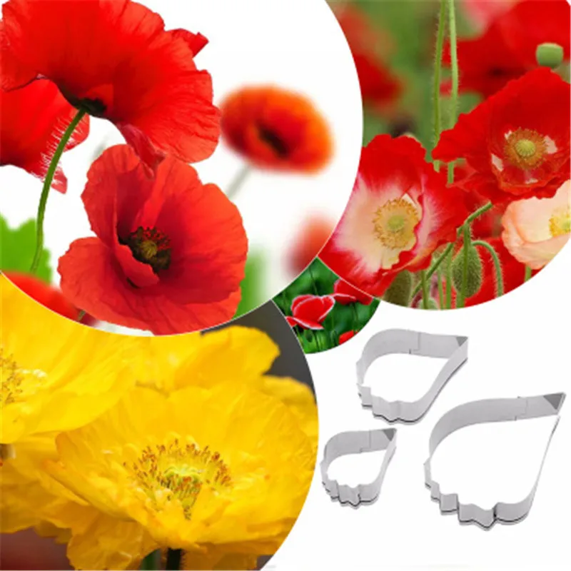 9355409507_521294732.400x400