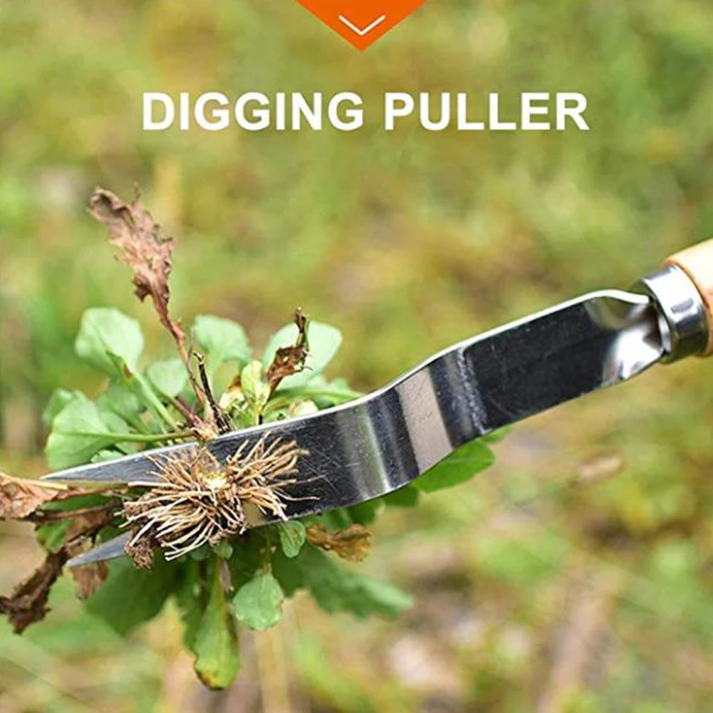 Wood Handle Stainless Steel Garden Weeder Hand Weeding Removal Cutter Dandelion Puller Tools Multifunction Weeder Transplant #5 Wood Handle Stainless Steel Garden Weeder Hand Weeding Removal Cutter Dandelion Puller Tools Multifunction Weeder Transplant #5