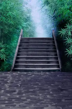 

LIFE MAGIC BOX Photography Backdrops Fundo Fotografico Vinil Cloth Photo Background Board Level Both Sides Bamboo