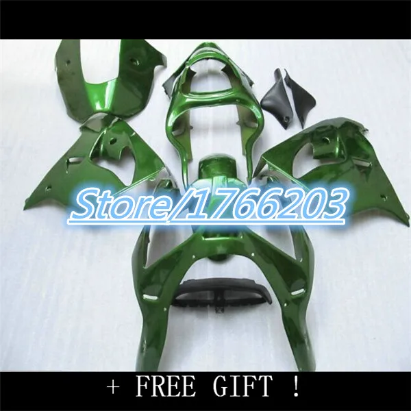 zx 1000 zilver