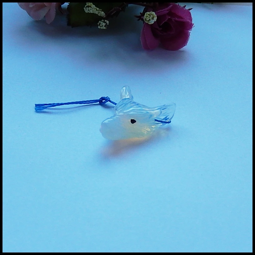 DSCN8709