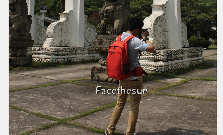 Professional camera backpack bag DLD3011-33