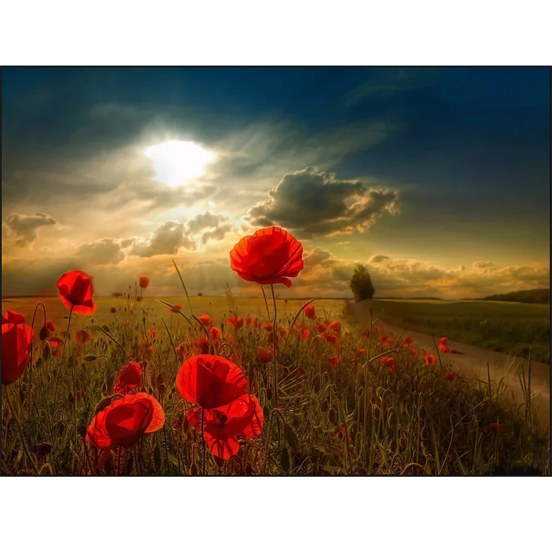 Diamond Embroidery Landscape 3d Icon Full Square Mosaic Diy Painting For Arts &amp Crafts Flower | Дом и сад