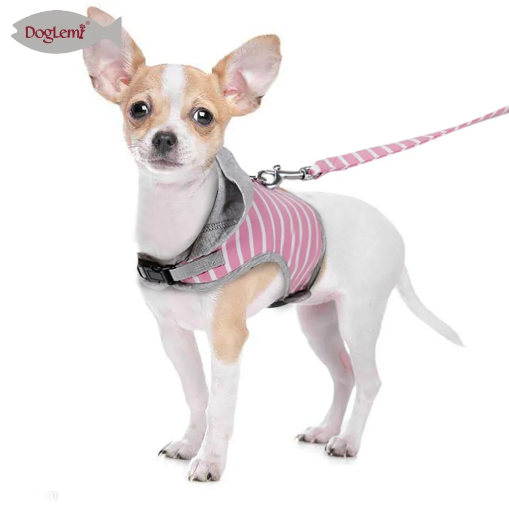 Adjustable Dog Collars for Small Dogs Female Male Girl Boy Collar Pink