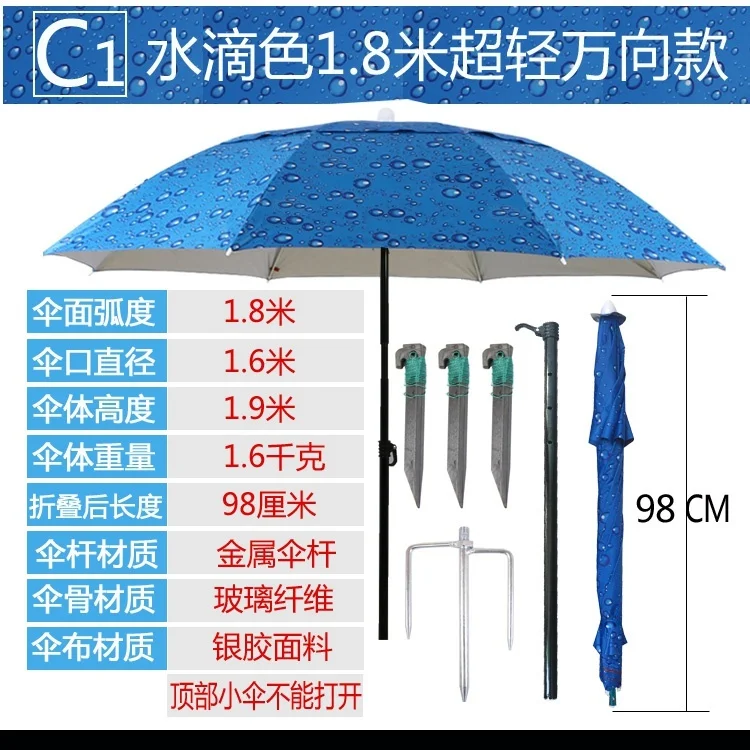C1