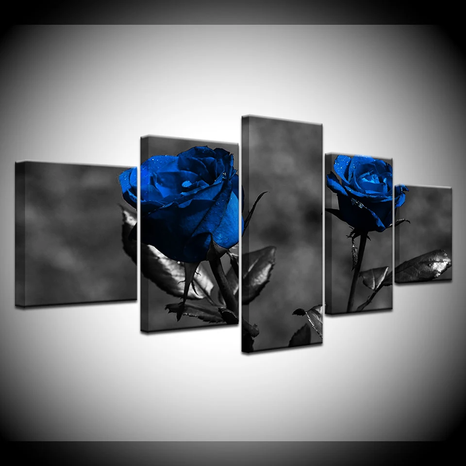 HTB1fctsX8cXBuNjt_biq6xpmpXaG