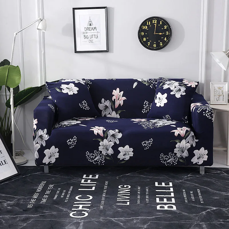 A005Color5
