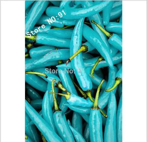 

50 pc Vegetabler (Blue Turquoise Pepper) beautiful color ,easy growing