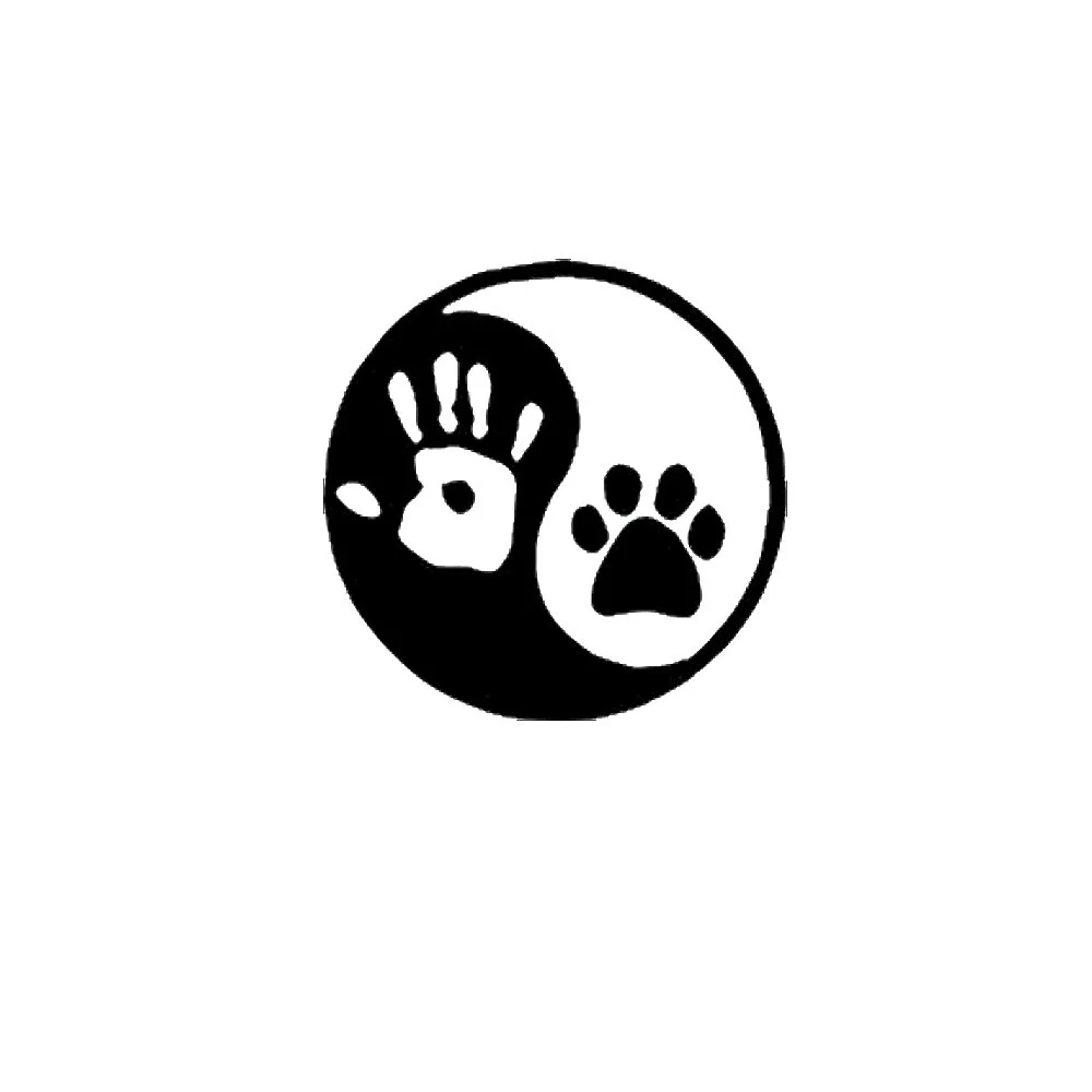 5959be0e905fdb6fb7967120-original