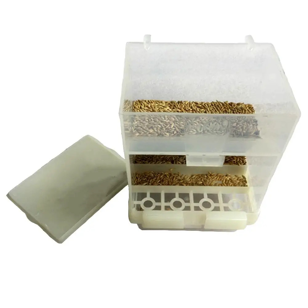 

Parrot Automatic Feeder Anti-Spreading Box Bird Food Box Automatic Pet Feeder Sprinkled Bird Feeder