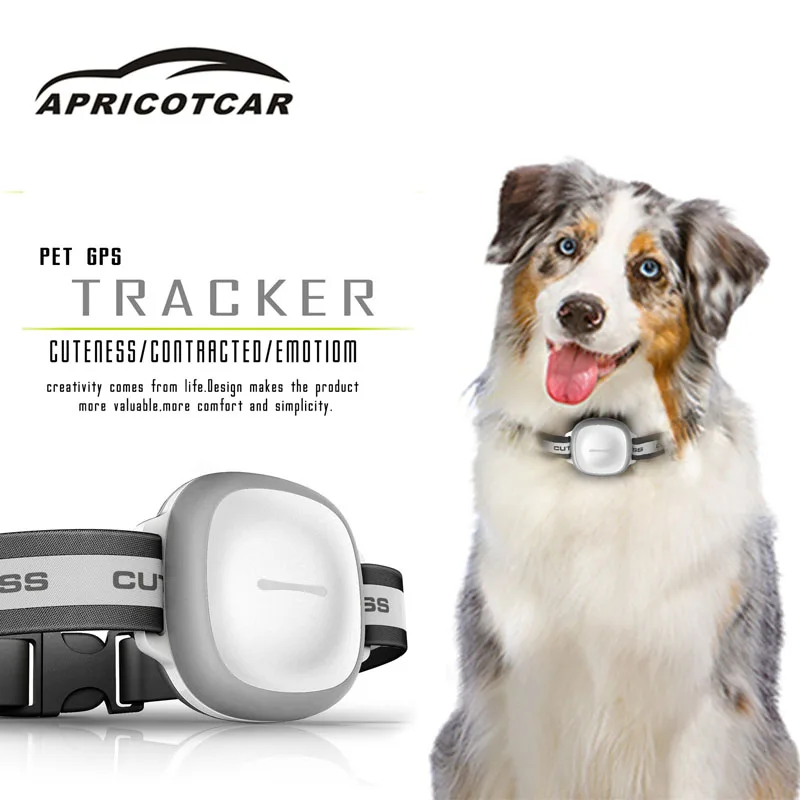 

Mini Smart Pet GPS Tracker Anti-Lost Cat Dog Locator Tracking Waterproof IP66 Wifi+GPS+LBS Location LED Flashing Light for Night