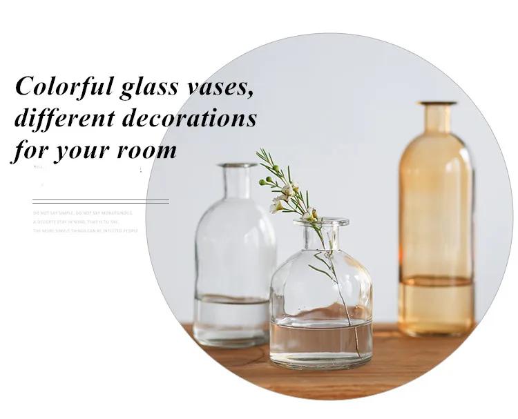 INS Small Mouth Glass Transparent Vase Nordic Wind Dried Flower Vases Japanese Home Wedding Decoration Colorful Flower Vases