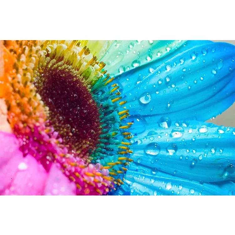 Beautiful Flowers 5D Diamond Painting Cross Stitch DIY Embroidery MosaicHome Decor | Дом и сад