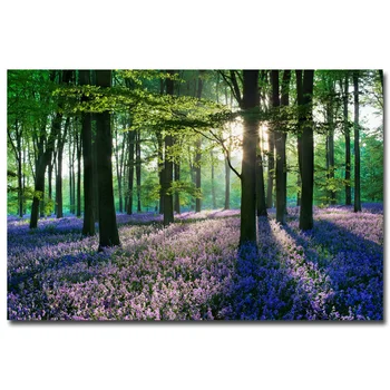 

NICOLESHENTING Spring Forest Path Sunbeam Art Silk Fabric Poster Print Trees Flower Landscape Wall Pictures Living Room Decor