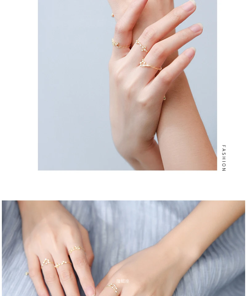 New 925 Sterling Silver Fashion CZ Crystal Tail Rings For Women Girls 12 Constellations Collection Finger Ring Jewellery Bijoux  (10)