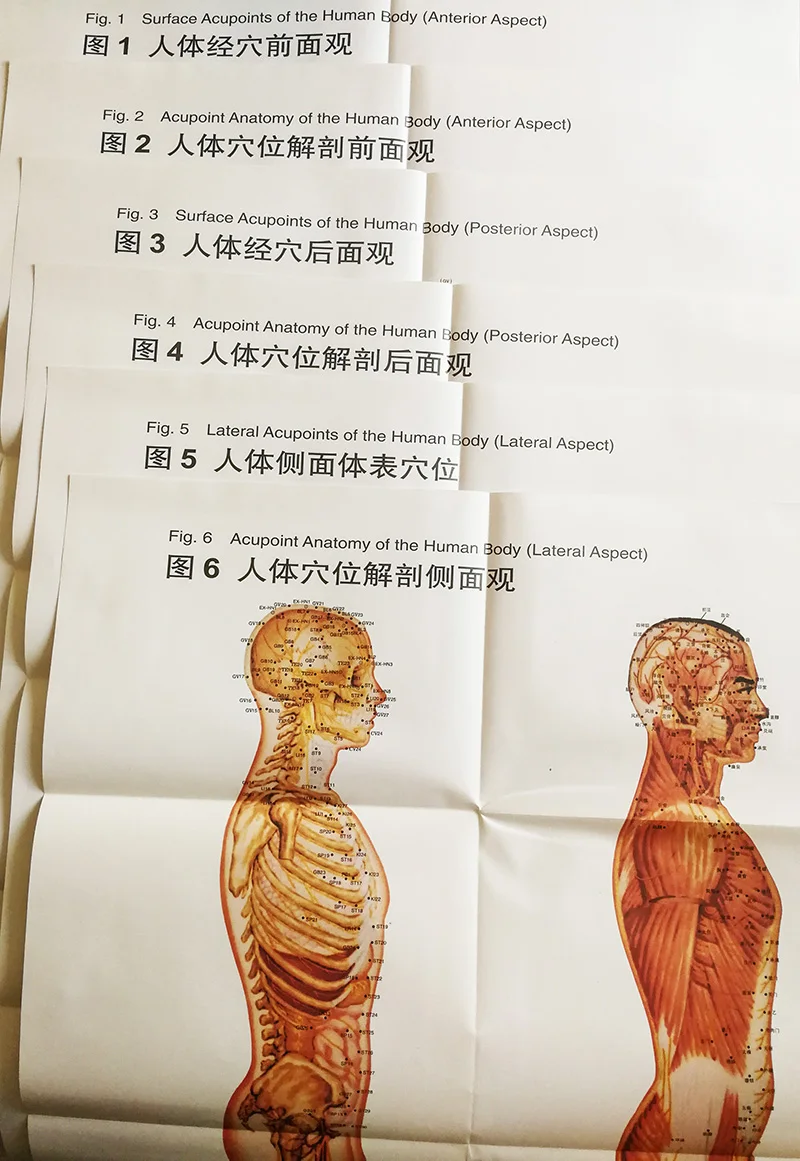6 шт./компл. двуязычные акупунктурные диаграммы и инструкции по анатомическим схемам международной стандартизированной акупунктурной книги