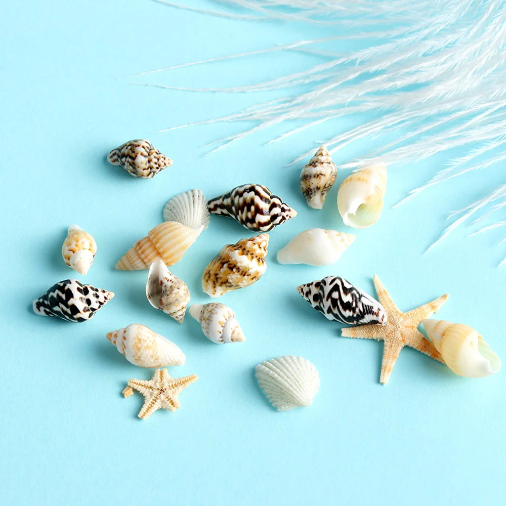 

1 Box 3D Natural Mini DIY Nail Art Rhinestone & Decoration Tips Conch Shells Star fish Sea Beach Ornaments Manicure Decor Tools