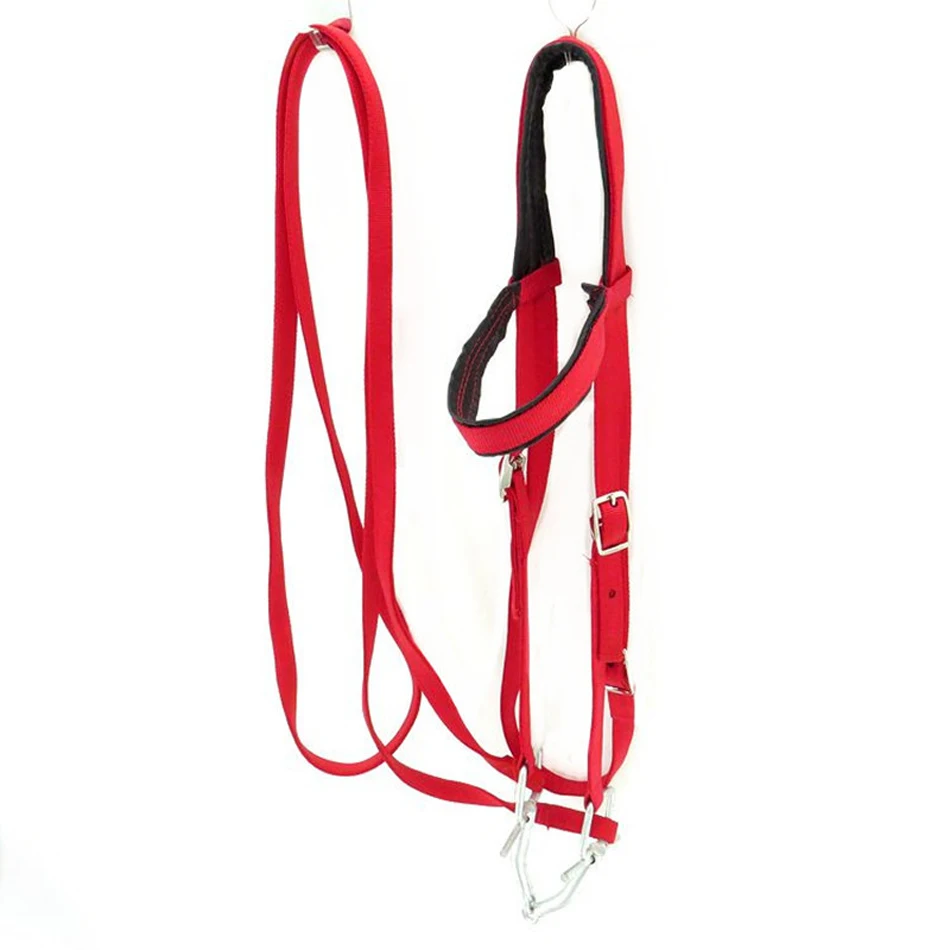 TB2jlDVsHBmpuFjSZFuXXaG_XXa_!!2914735433