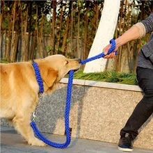 Высокое качество Лабрадор ошейник для собак с поводком поводок для домашних животных крепкий Канатный ошейник поводок набор для больших прогулочных собак