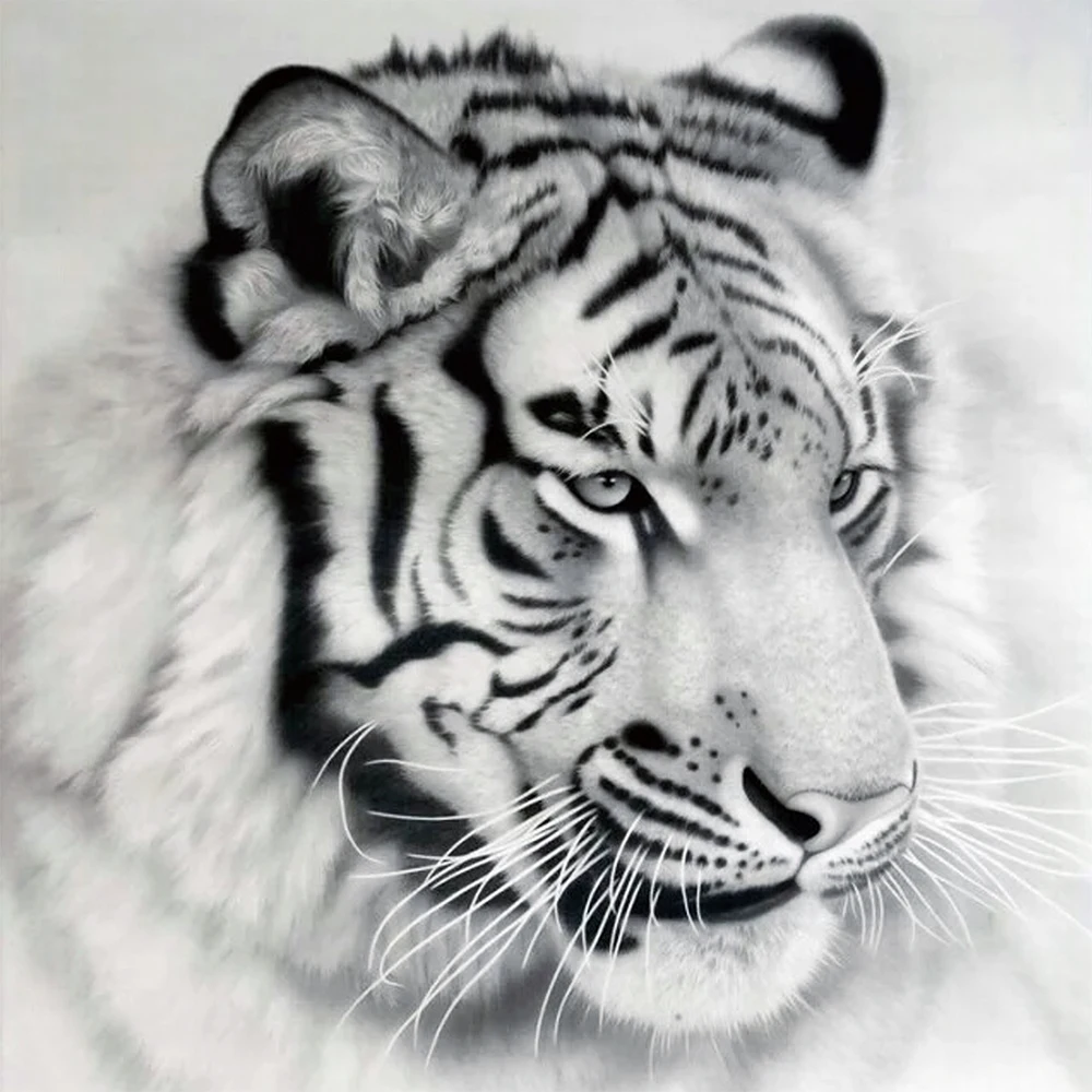 

12 x 12 inches DIY 5D Diamond Painting Kit White Tiger Pattern Rhinestone decor Embroidery Cross Stitch Craft Home Wall Decor