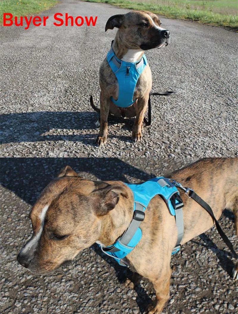 UT8vtsdX1tXXXagOFbXW