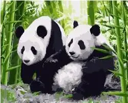 

MaHuaf-W818 Two clumsy Chinese pandas in the bamboo thickets animal picture painting by numbers canvas painting home decor