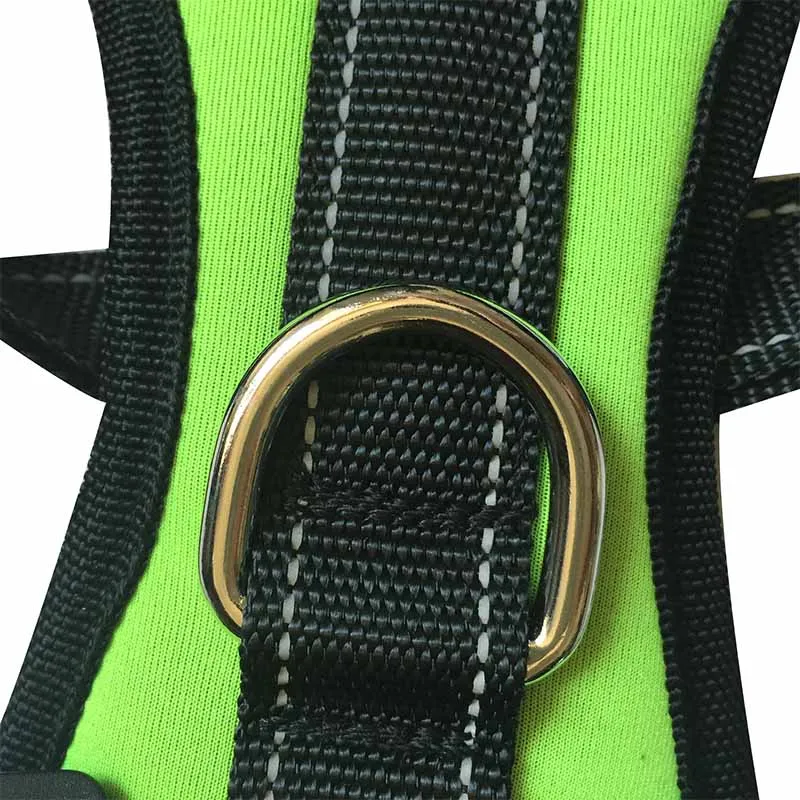 dog harnens car seat belts (7)