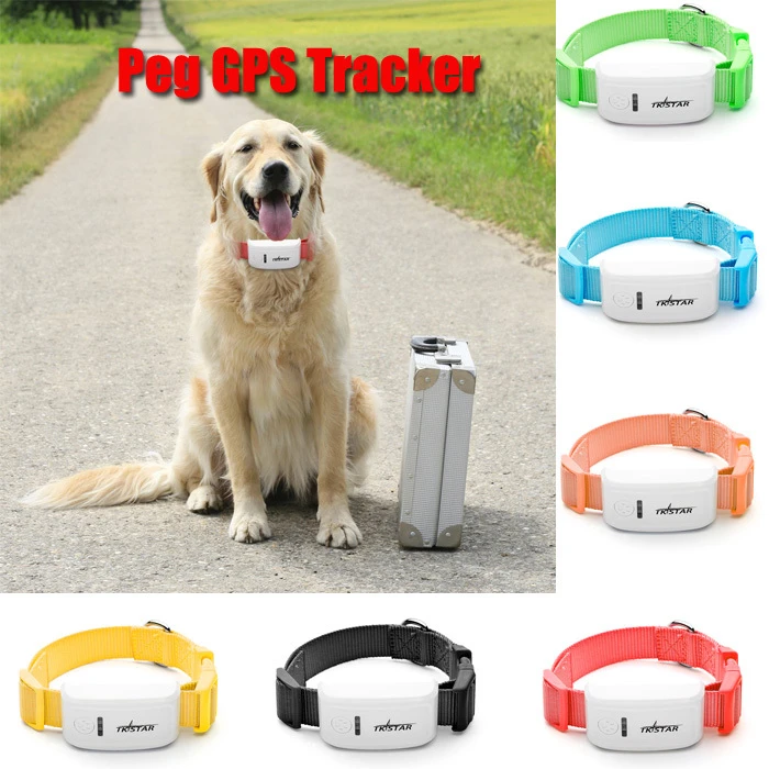 dog collar tracking system