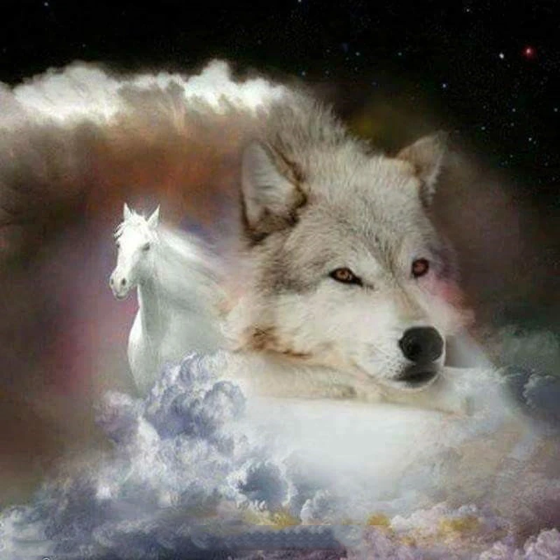 HTB1RQ95fgnH8KJjSspcq6z3QFXaa