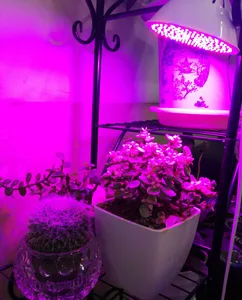 Image 5 - フルスペクトラム工場はled電球ランプ照明vegsハイドロフラワー温室ベジ屋内ガーデンE27 フィトgrowbox
