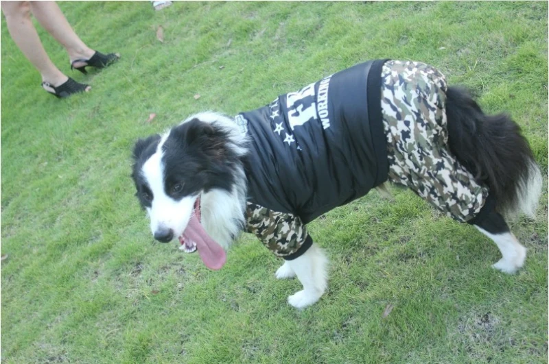 Одежда для больших собак зимняя одежда для больших собак комбинезон золотистый ретривер самоед Хаски одежда для домашних животных пальто куртка наряд костюм одежда